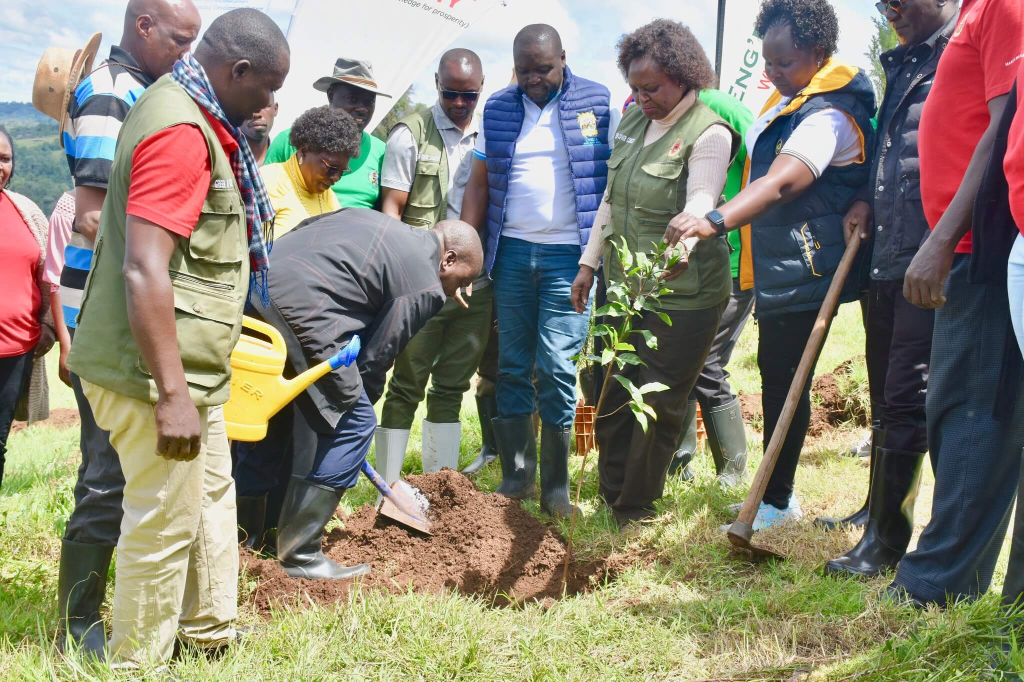 Chair of Council planting a tree
